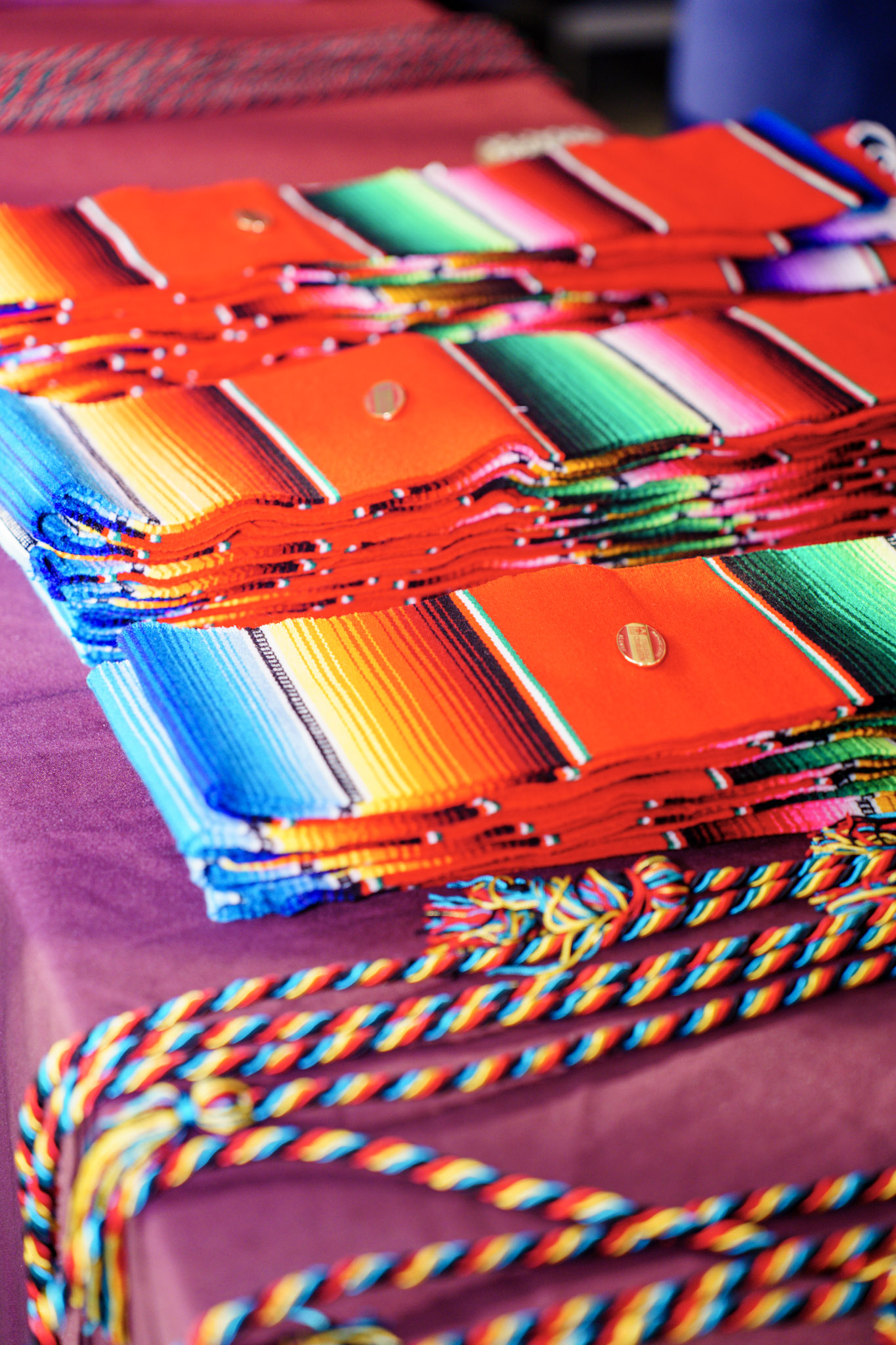 Charleston diversity event photography - cultural celebration