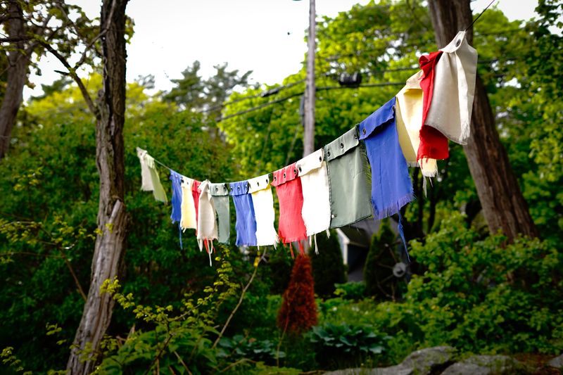Colorful hand-dyed prayer flags strung between trees in a coastal Maine garden